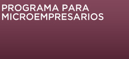 Capac&iacute;tate 4 - Programa para microempresarios